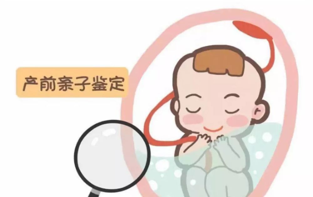 怀孕6周做产前亲子鉴定准确吗？