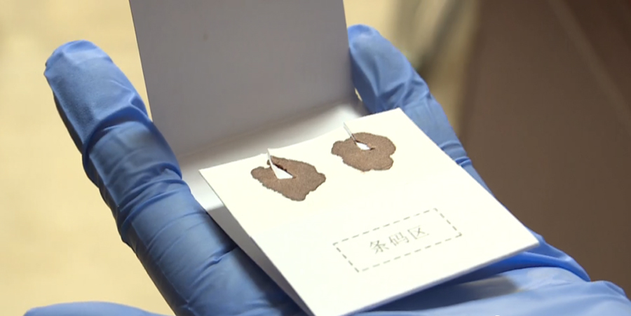 梧州隐私亲子鉴定费用是多少钱,梧州个人亲子鉴定办理流程